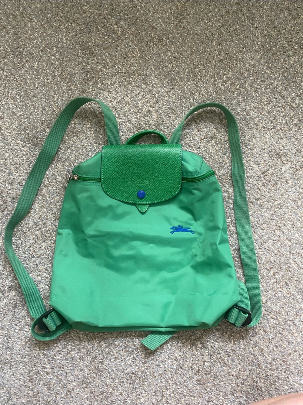 Longchamp backpack